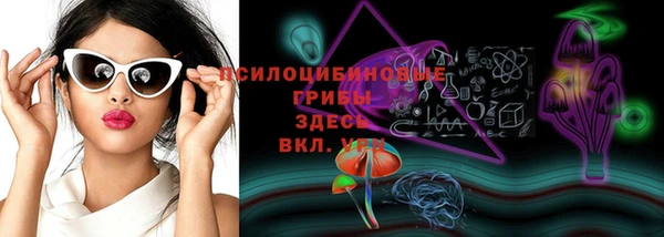 синтетический гашиш Богородицк