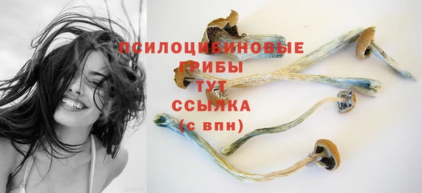 синтетический гашиш Богородицк