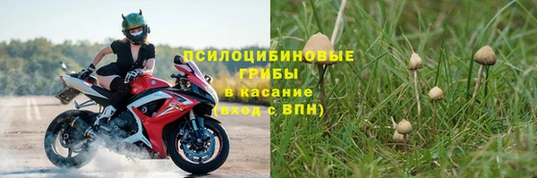 синтетический гашиш Богородицк