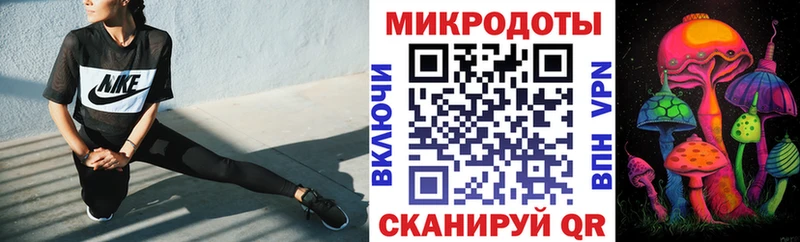 Галлюциногенные грибы Psilocybine cubensis  Купить  Кяхта 